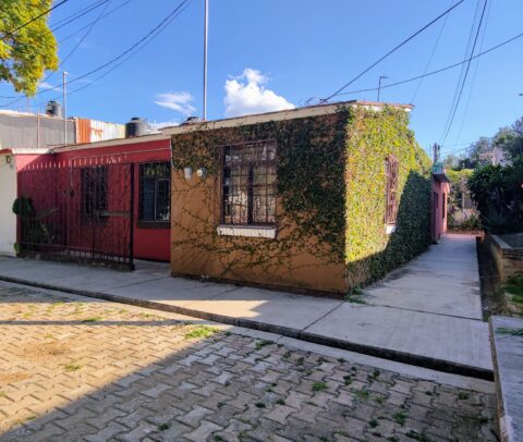 Casa Flores Magon